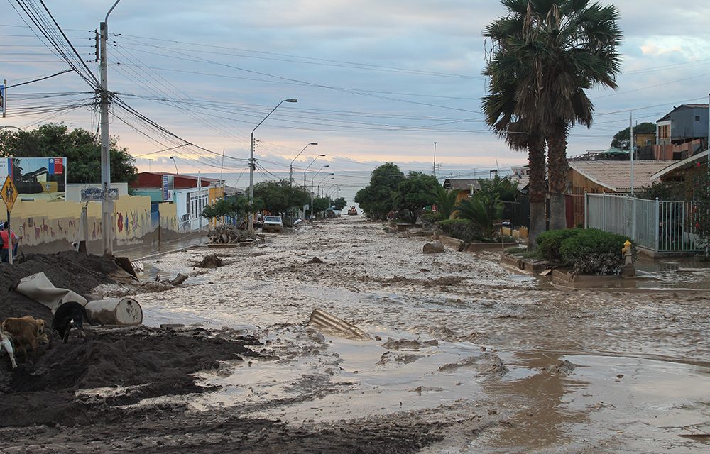 ASUME COORDINADOR DE PROYECTO PARA LA REDUCCIÓN DE LA VULNERABILIDAD CLIMÁTICA DE ANTOFAGASTA Y TALTAL