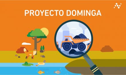 Proyecto Minero Dominga: “Contraviene la tendencia de los discursos políticos sobre la necesidad de una minería y economía verde”