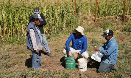 Programa ATF de SQM Litio comenzó la toma de muestras de suelos de terrenos de 13 agricultores de San Pedro de Atacama