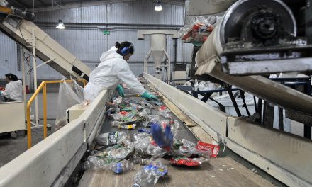 En el Día Mundial del Reciclaje: “Faltan mayores esfuerzos del estado en promover la economía circular y la Ley REP”